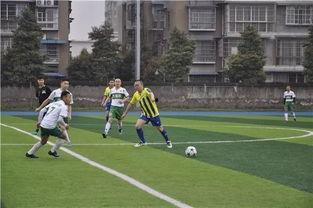 爆料视频足球解说大全最新,爆料视频足球解说大全精彩瞬间大盘点